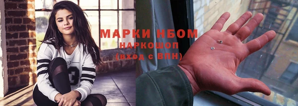 индика Надым