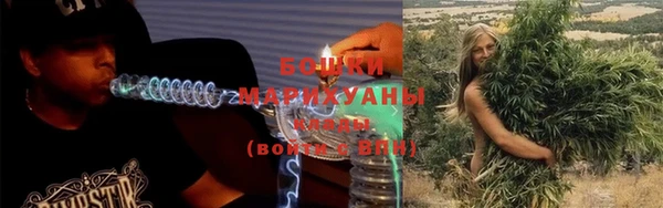 индика Надым