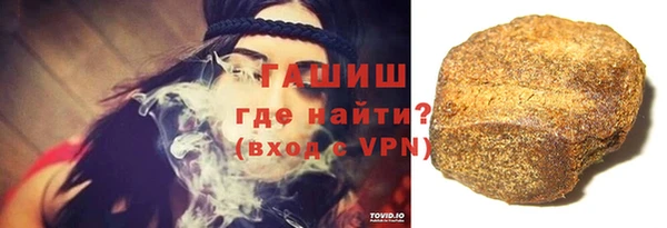 индика Надым