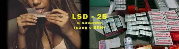 индика Надым
