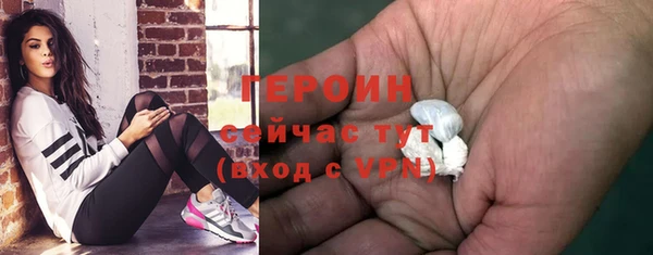 индика Надым