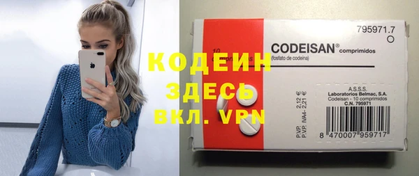 индика Надым