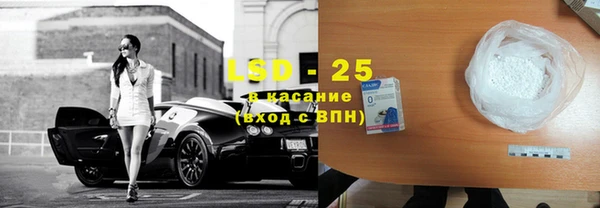 индика Надым