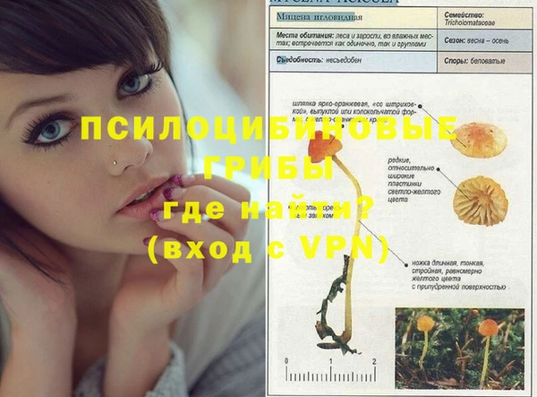 индика Надым