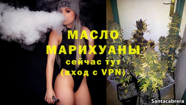 индика Надым