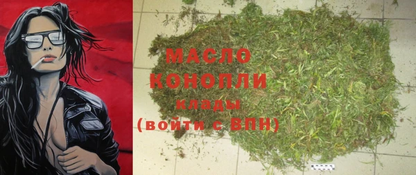 индика Надым