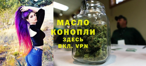 индика Надым