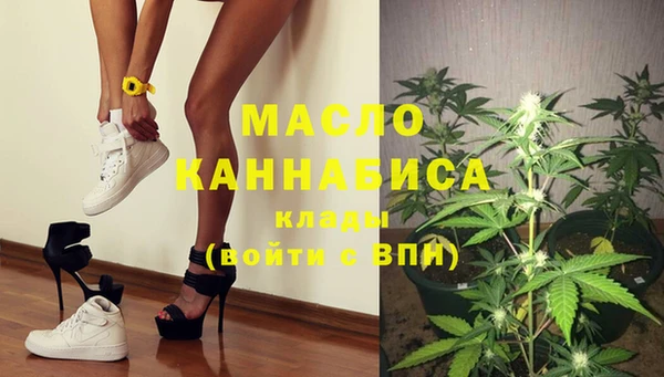 индика Надым
