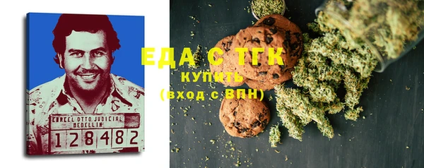 индика Надым