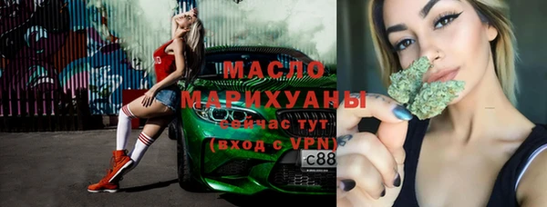 индика Надым